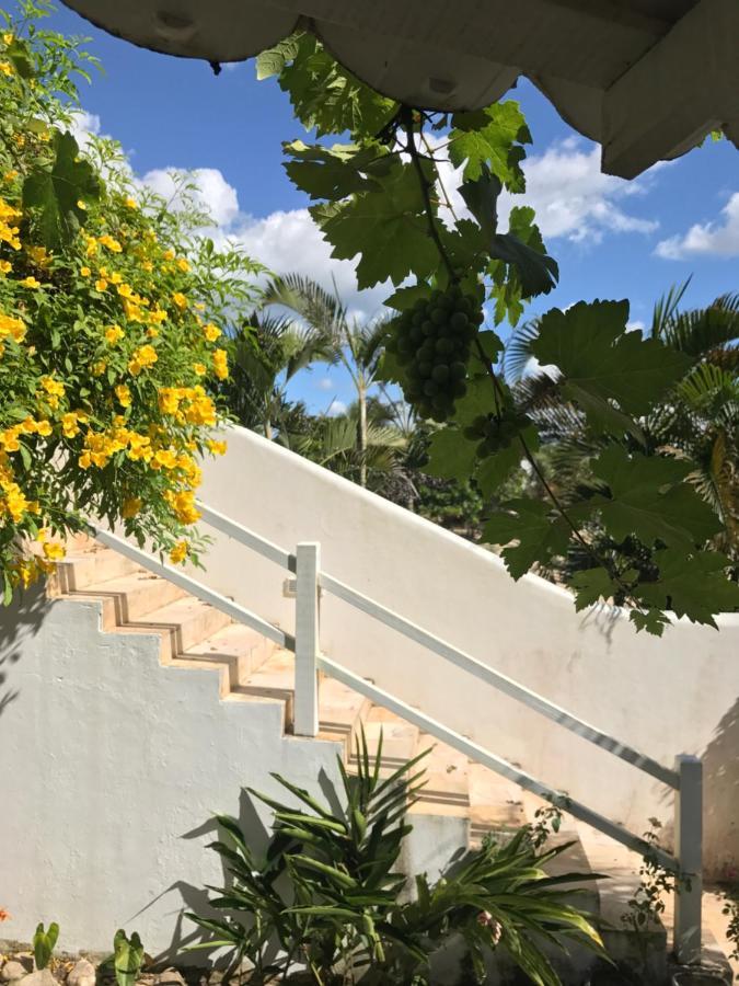 Pousada Papaya Jijoca de Jericoacoara Dış mekan fotoğraf